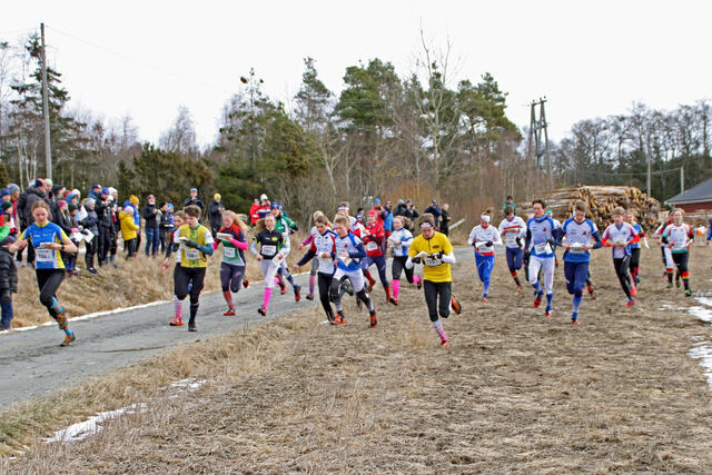 Fra starten for ungdomssstafetten med 31 lag i feltet. (Foto: Bjørn Hauge)