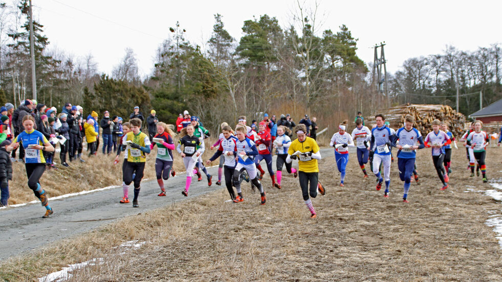 Fra starten for ungdomssstafetten med 31 lag i feltet. (Foto: Bjørn Hauge)