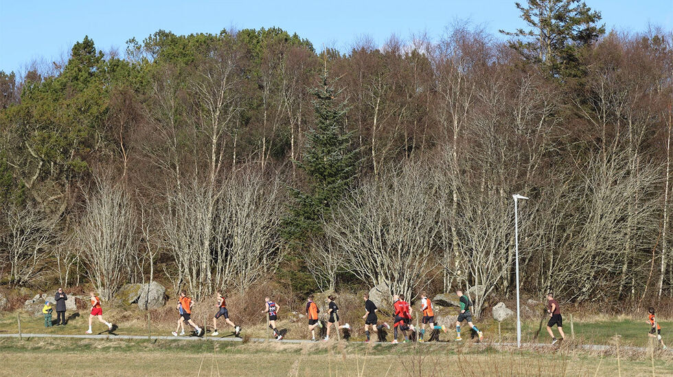51 sprang ein runde og 21 sprang tre rundar rundt Hålandsvatnet. Kvar runde er på dryge 7 km. (Foto: arrangøren)