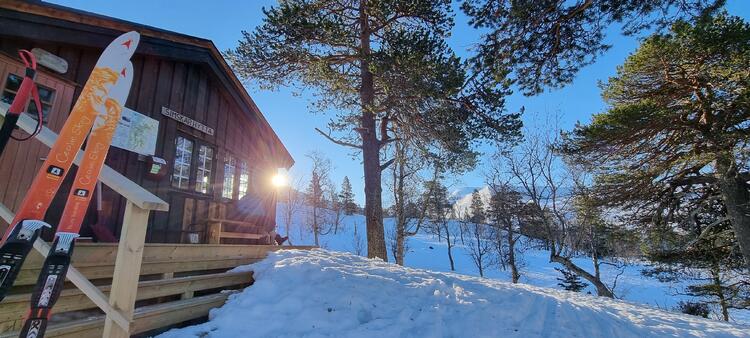 Morgenstemning på trappa