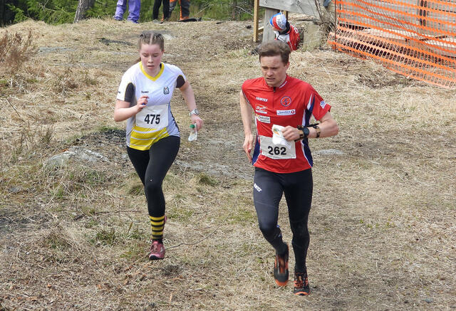 lk05_steiwer