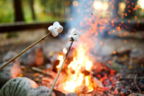 28581020-roasting-marshmallows-on-stick-at-bonfire-having-fun-at