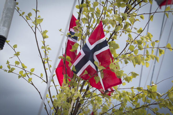 To norske flagg sammen med litt bjørkeløv