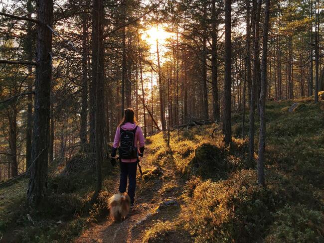 Person med hund på sti i motlys