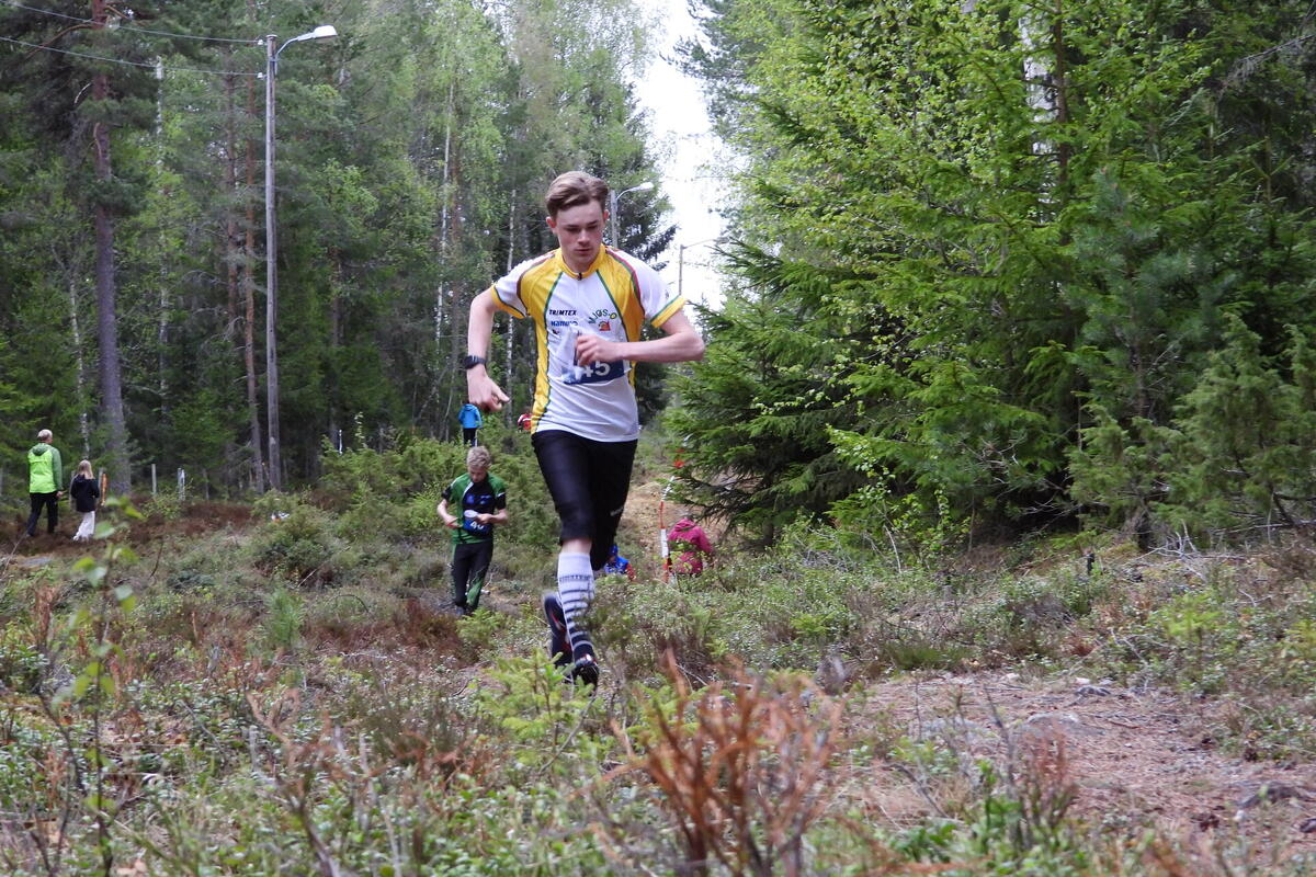 Ola Dåsnes vat H15-16.