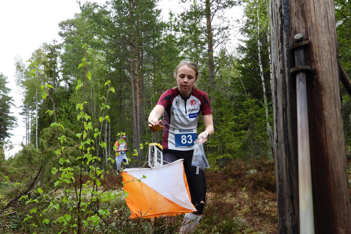 Marie Kravdal nr 3 D17-20.