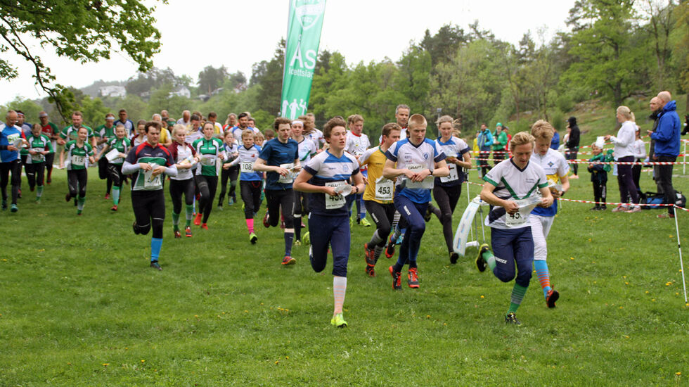 kvi01_start