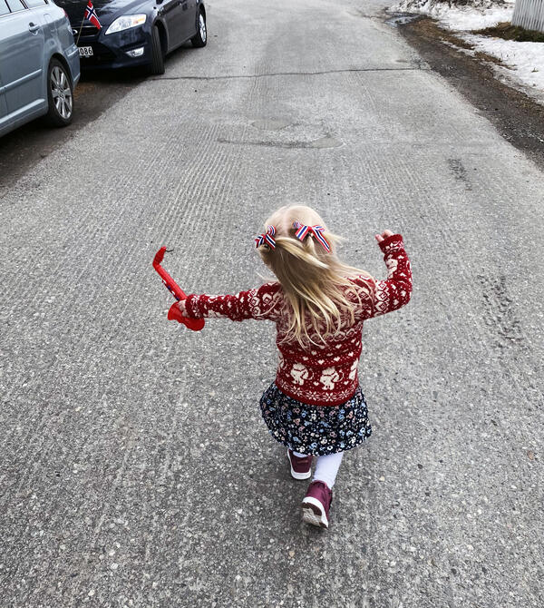 Illustrasjonsfoto nasjonaldagen