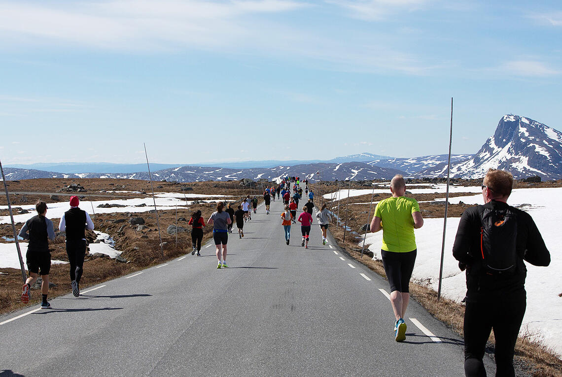 Lørdag ble den 41. utgaven av Fjellmaraton på Beitistølen arrangert. (Alle foto: arrangøren)