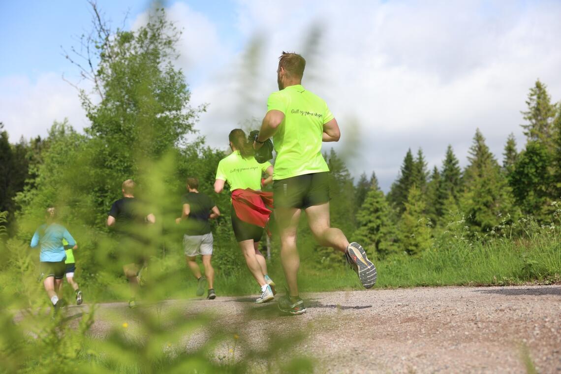 Nordmarka Skogsmaraton fikk ganske så gode løpeforhold søndag formiddag. Det ble løpt halvmaraton, maraton og ultra (63,3 km). (Foto: Tom-Arild Hansen)