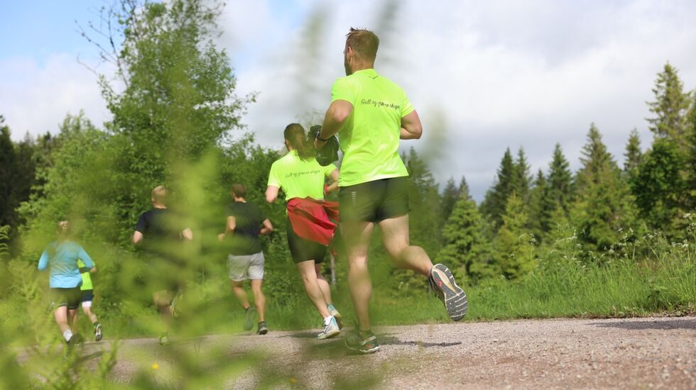 Nordmarka Skogsmaraton fikk ganske så gode løpeforhold søndag formiddag. Det ble løpt halvmaraton, maraton og ultra (63,3 km). (Foto: Tom-Arild Hansen)