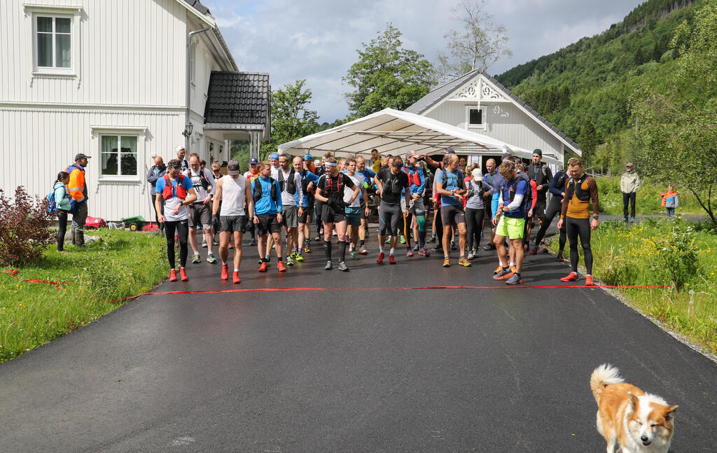 Start halvmaraton. Foto: Martin Hauge-Nilsen