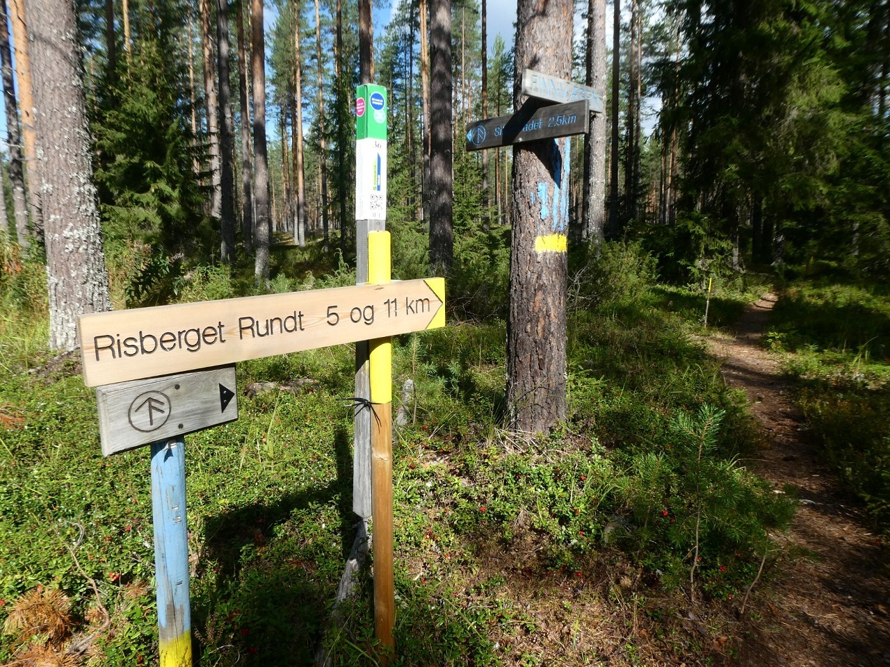 Løypeskilt.jpg