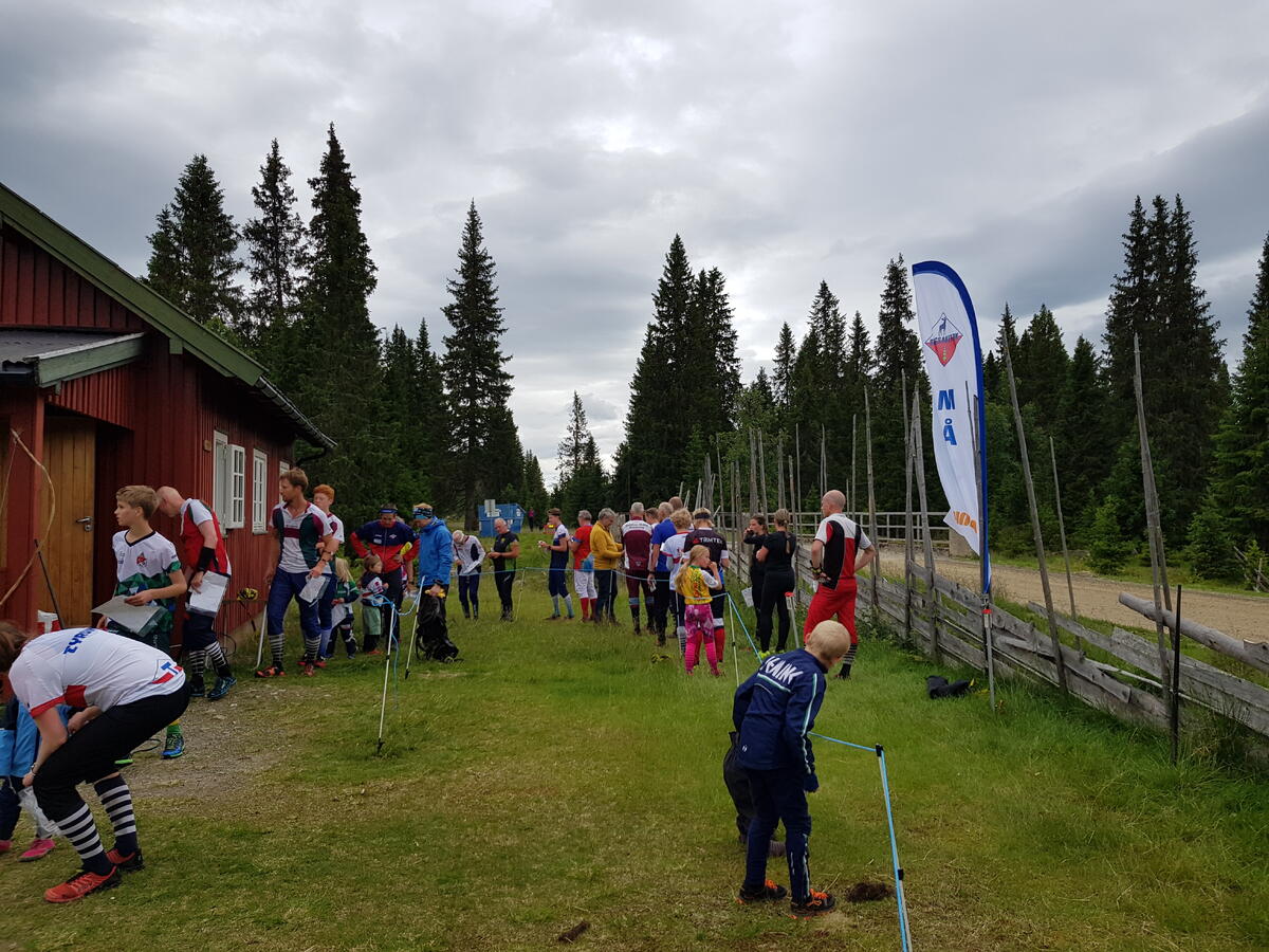 Gammelskolla