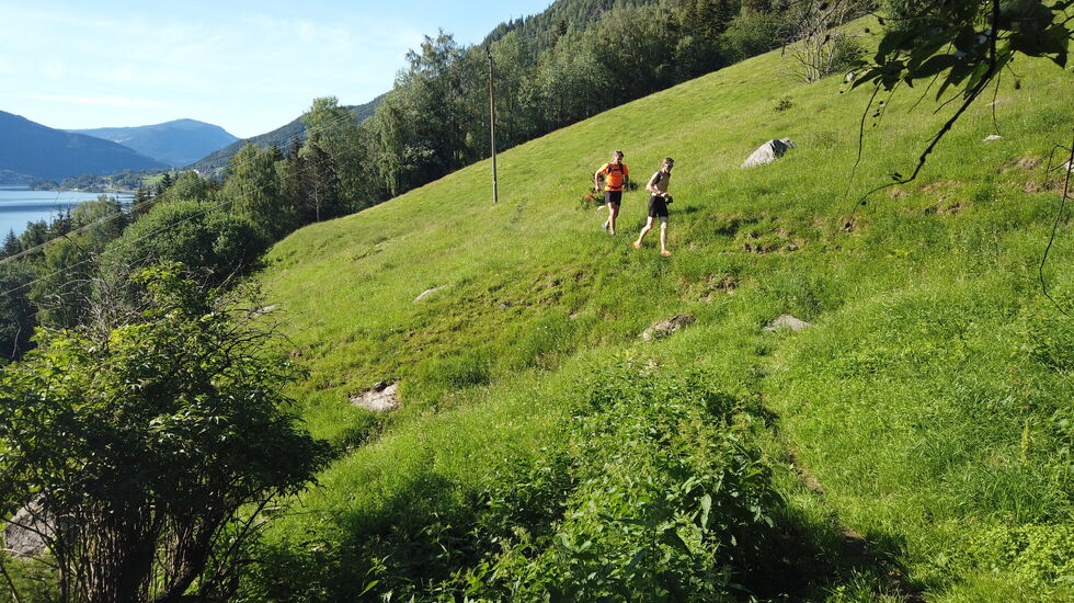 Ledenløpet går langs Pilegrimsleden mellom Fåvang og Øyer 20. august.