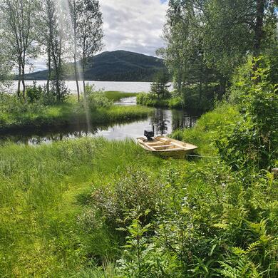 Fra Tomasvassbekkens utløp.
Foto: Svein Sørum