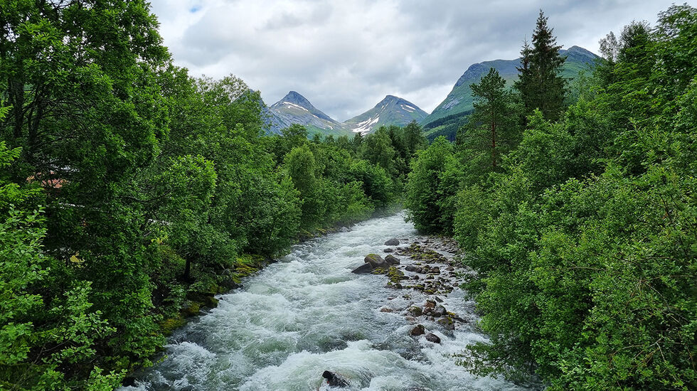 Hvilken side av elva er du på? (Foto: Bjørn Johannessen)
