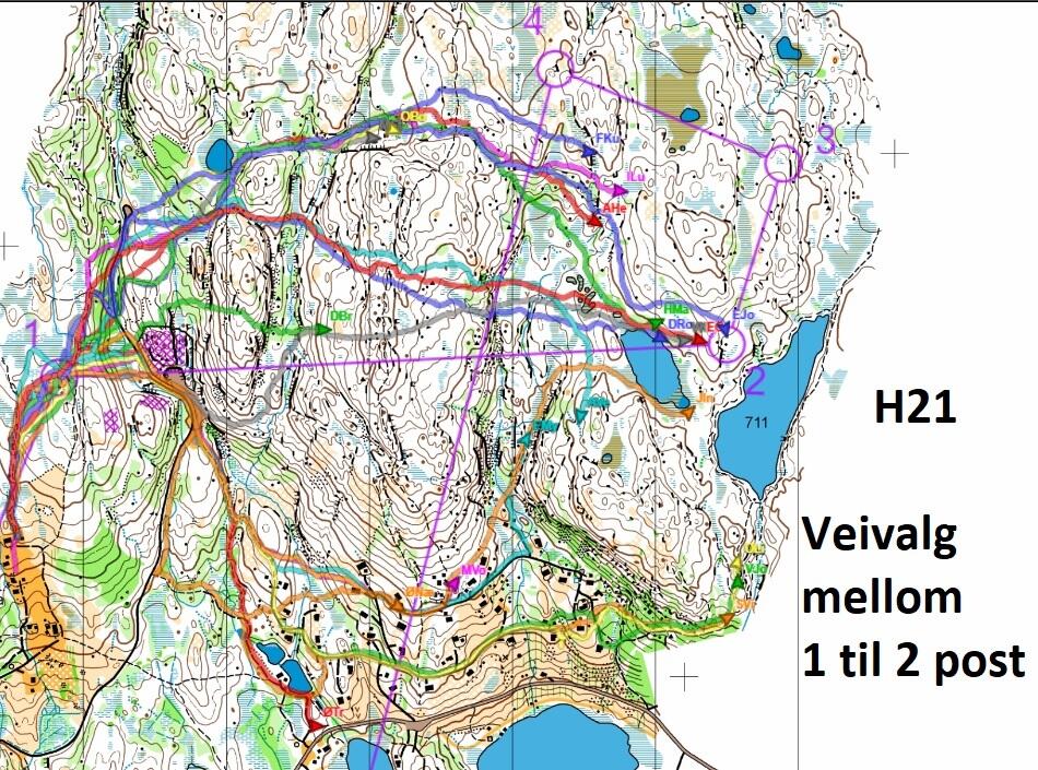 Veivalg mellom 1 og 2 post H21