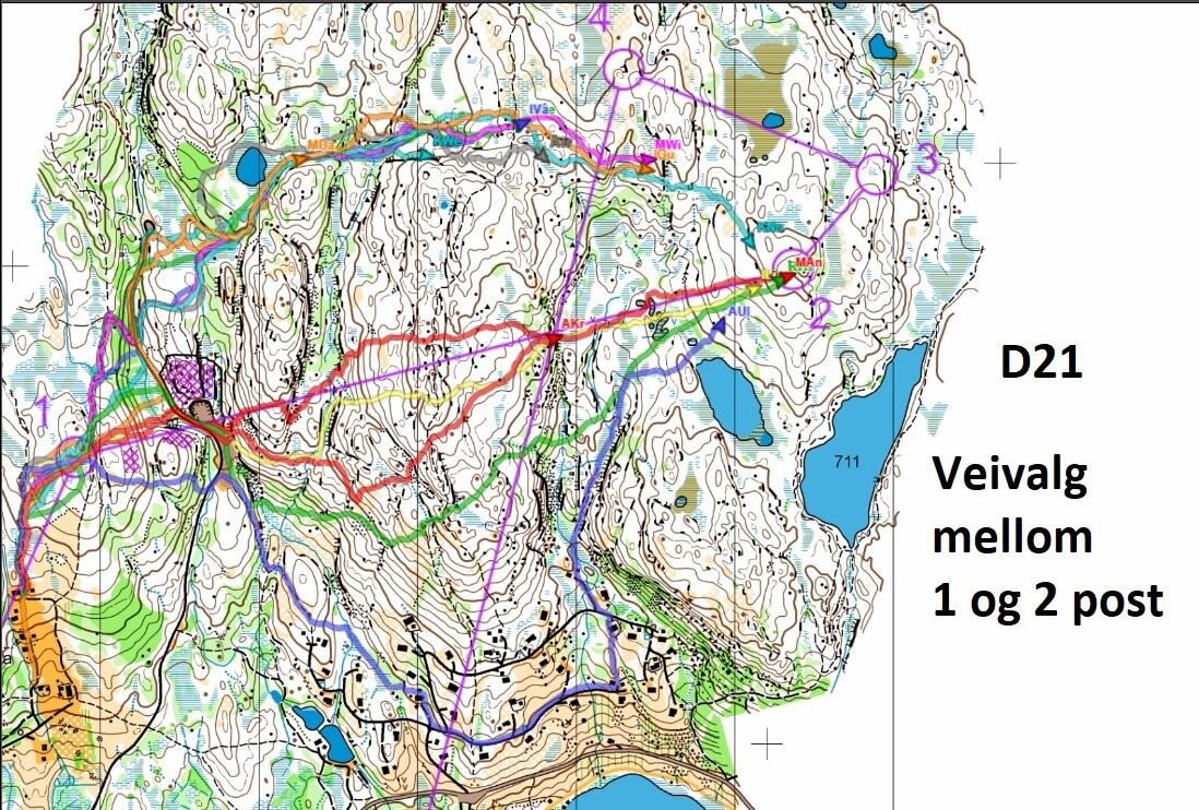 Veivalg mellom 1 og 2 post D21