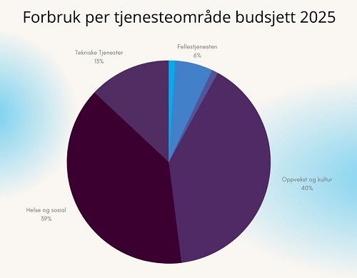 Fordeling per tjenesteområde budsjett 2025