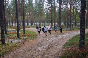 Det ble løpt fort på stiene i Elverum hele siste uke. Her fra Kondistreningas bakkeintervaller i Stavåsen der Christoffer Hvammen ledet an. (Foto: Rolf Bakken)