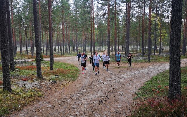 Det ble løpt fort på stiene i Elverum hele siste uke. Her fra Kondistreningas bakkeintervaller i Stavåsen der Christoffer Hvammen ledet an. (Foto: Rolf Bakken)