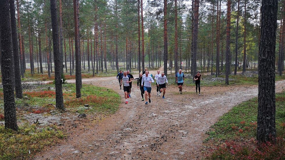 Det ble løpt fort på stiene i Elverum hele siste uke. Her fra Kondistreningas bakkeintervaller i Stavåsen der Christoffer Hvammen ledet an. (Foto: Rolf Bakken)