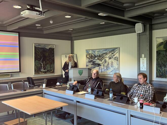 Dagleg leiar Rita Hansen i Setesdal regionråd orienterer Bykle kommunestyret om kva regionrådet held på med av stort og smått.
