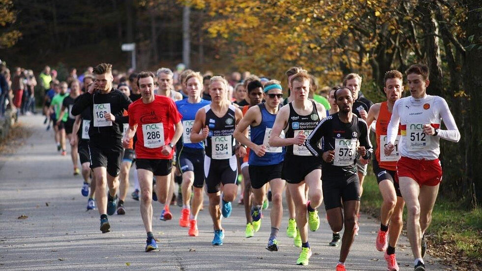 Marius Vedvik leda an under Djupadalten i 2016 da 1244 løpere var med på enten Djupadalten, Skeisdalten eller barneløpet. (Foto: Ingolf Dale)