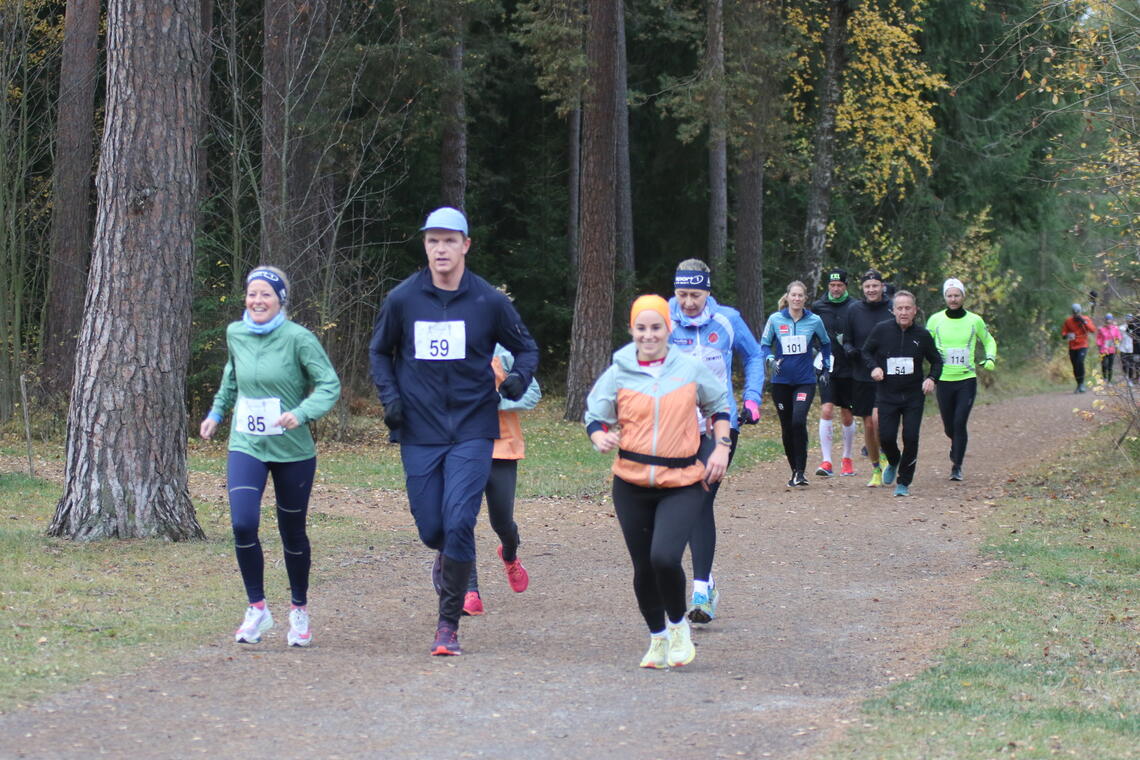 En optimistisk gjeng passerer Klatreparken på Domkirkeodden for 6. gang (fra venstre): Marte Ihrstad, Erlend Laukvik, Kristin Vardebakken og Ingrid Robøle. (Foto: Rolf Bakken)