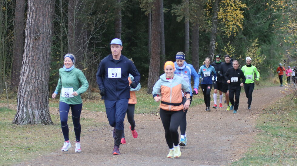 En optimistisk gjeng passerer Klatreparken på Domkirkeodden for 6. gang (fra venstre): Marte Ihrstad, Erlend Laukvik, Kristin Vardebakken og Ingrid Robøle. (Foto: Rolf Bakken)