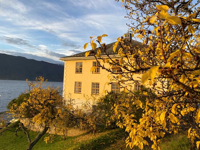 Tinghuset (Foto: Mariann Skau) Stor gul murbygning i gult haustlys, med gult lauv i framgrunnen. Blå himmel med lett skydekke.