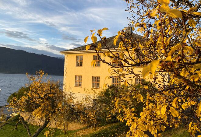 Stor gul murbygning i gult haustlys, med gult lauv i framgrunnen. Blå himmel med lett skydekke.