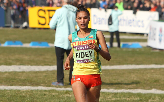 God i terrenget, god på asfalt og god i baneløp: På bildet løper Letesenbet Gidey inn til bronsemedalje i VM i terrengløp i Århus i 2019. (Foto: Kjell Vigestad)
