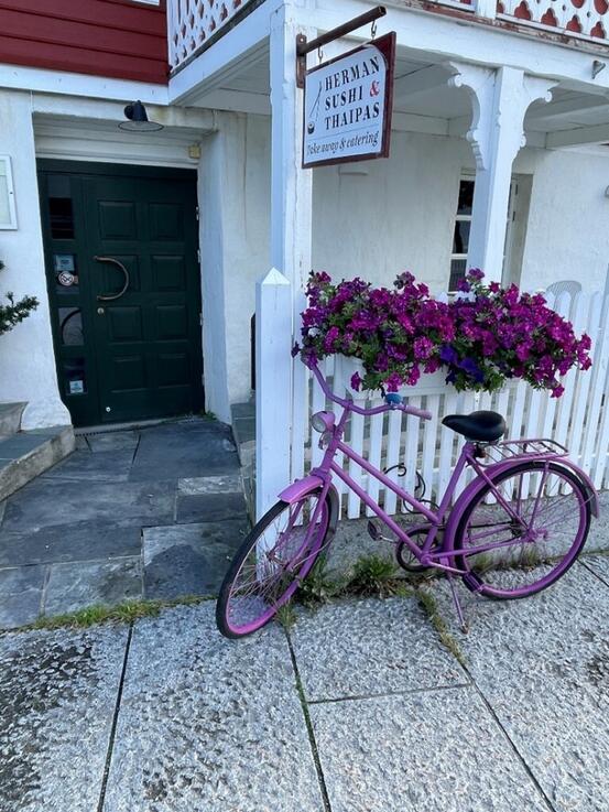 Inngangsparti i kjellar, lilla blomar og ein lilla sykkel til pynt.