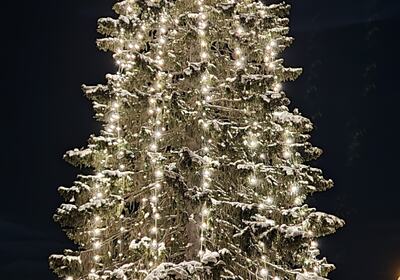 Julegrana på Trofors, med månen i toppen. Foto: Solbjørg Midtdal.