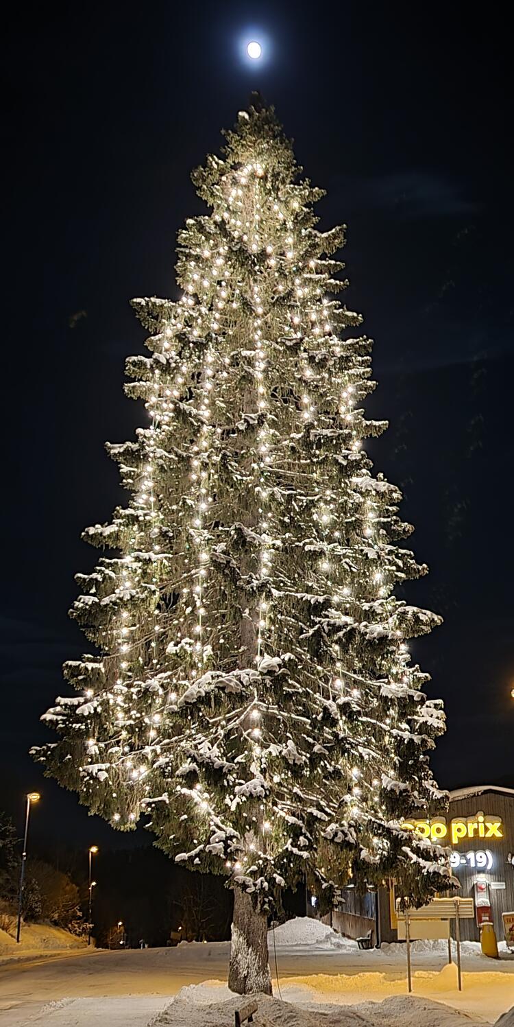 Julegrana på Trofors, med månen i toppen. Foto: Solbjørg Midtdal.