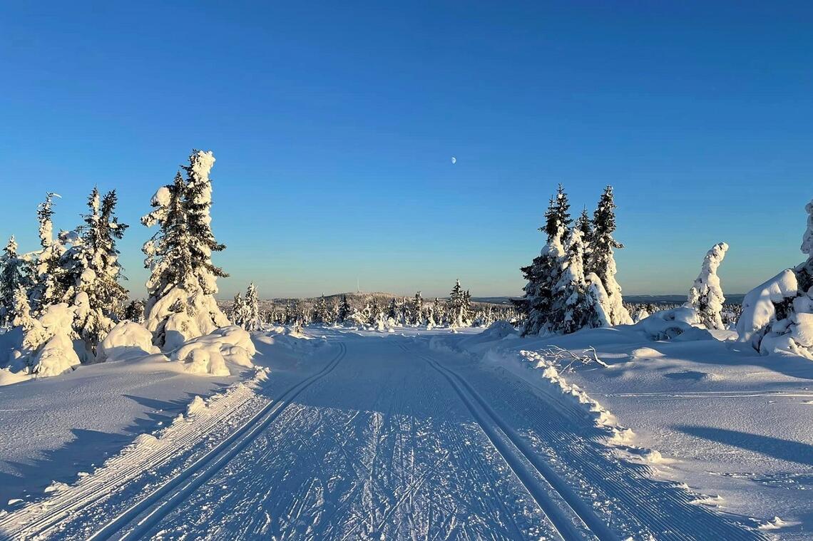 Vinteridyll på Målifjellet som skal passeres to ganger i Budorrennet med Nordhue rett i front. (Foto: Martin Skramstad)