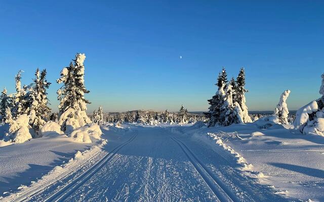 Vinteridyll på Målifjellet som skal passeres to ganger i Budorrennet med Nordhue rett i front. (Foto: Martin Skramstad)