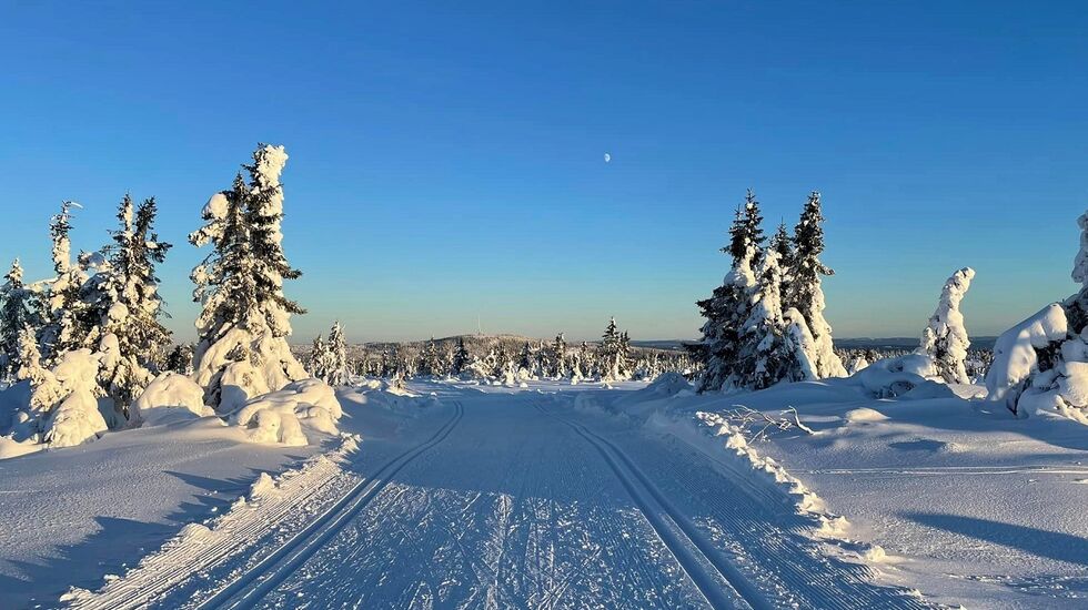 Vinteridyll på Målifjellet som skal passeres to ganger i Budorrennet med Nordhue rett i front. (Foto: Martin Skramstad) 