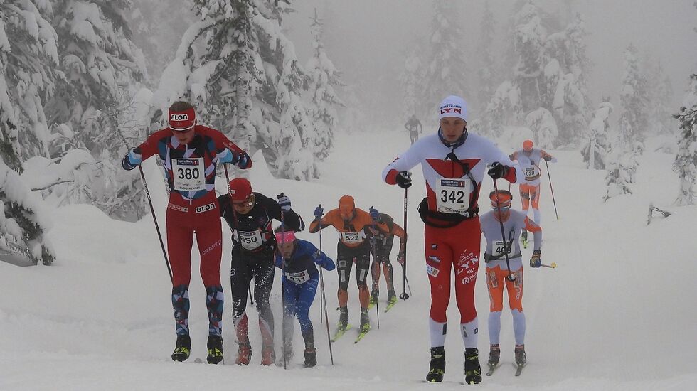 Tetgruppa etter 6,5 km