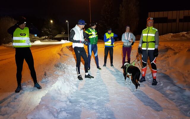 Seks tobeinte og en firbeint gjør seg klare til start. (Foto: Stein Arne Negård)
