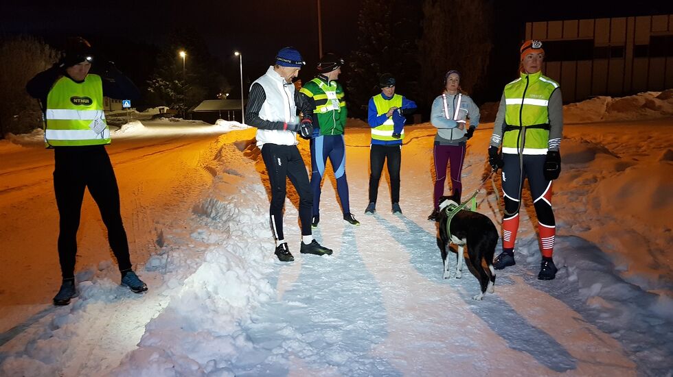Seks tobeinte og en firbeint gjør seg klare til start. (Foto: Stein Arne Negård)