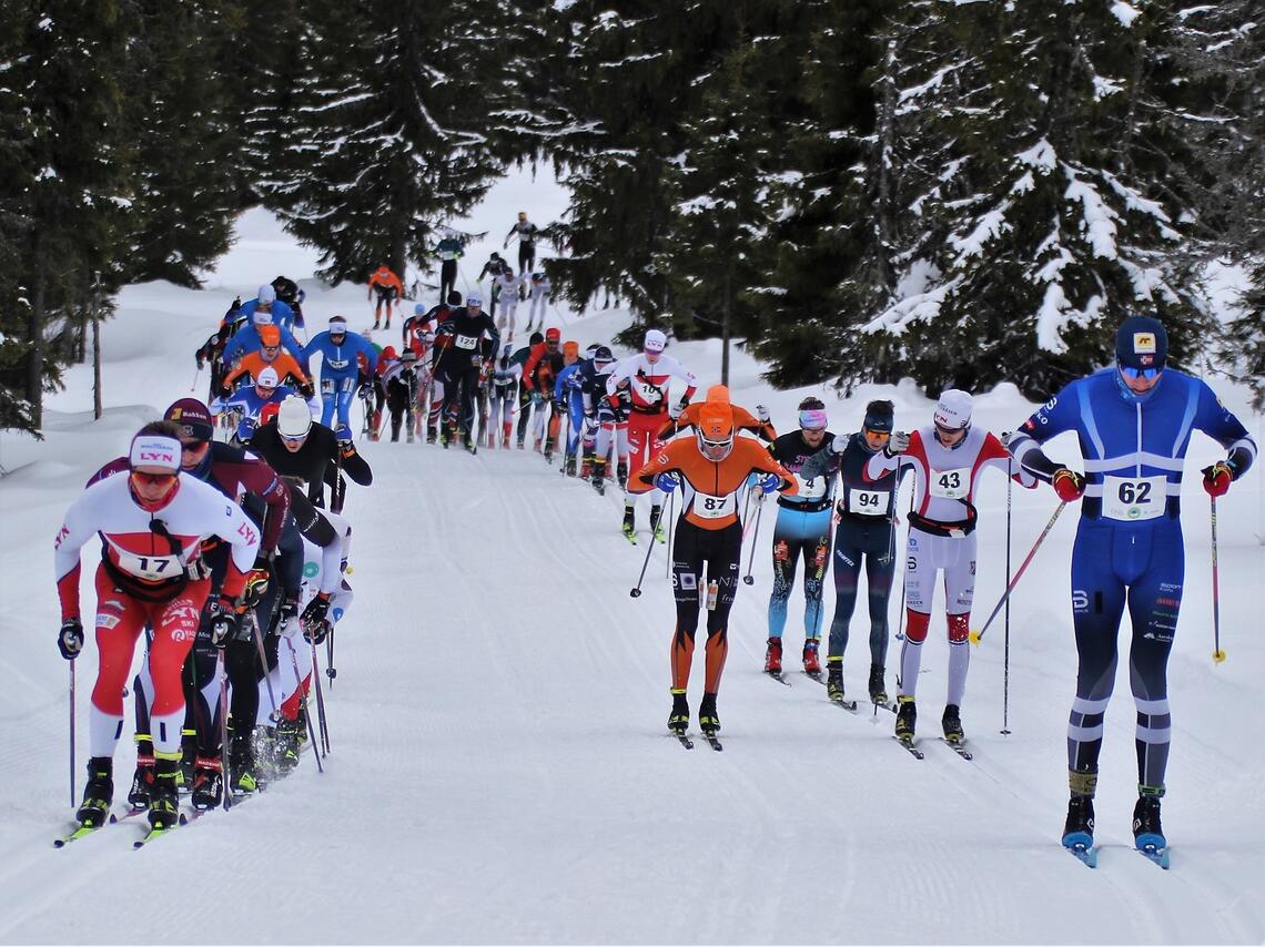Sjusjøen Skimarathon, arrangert av Lillehammerklubben Søre Ål Il, nær doblet deltakelsen fra 2022 til 2023-utgaven og var det største lokale arrangementet innenfor de gamle Hedmarksgrensene. (Foto: Rolf Bakken)