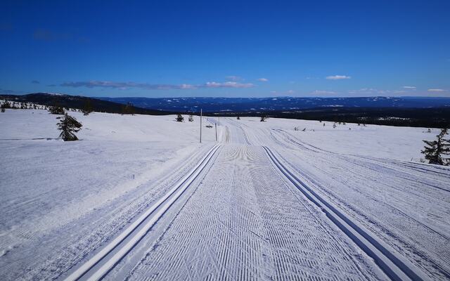 Utsikt fra Dølfjellet mot Østerdalen hvis du tar Birkebeinerløypa motsatt veg en solskinnsdag. (Foto: Rolf Bakken)