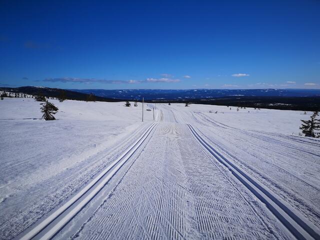 Utsikt fra Dølfjellet mot Østerdalen hvis du tar Birkebeinerløypa motsatt vei en solskinnsdag. (Foto: Rolf Bakken)