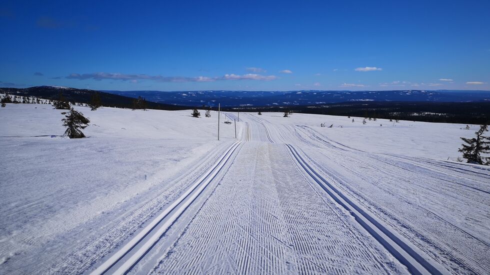 Utsikt fra Dølfjellet mot Østerdalen hvis du tar Birkebeinerløypa motsatt veg en solskinnsdag. (Foto: Rolf Bakken)
