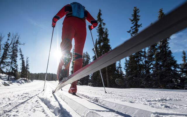 Grenaderløpet. Et av våre mest tradisjonsrike renn. (Foto: Grenaderen)