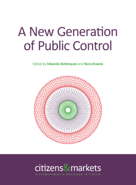 Transparency International Mexico (2014) A New Generation of Public Control