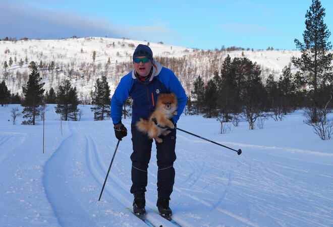 hund og skiløper